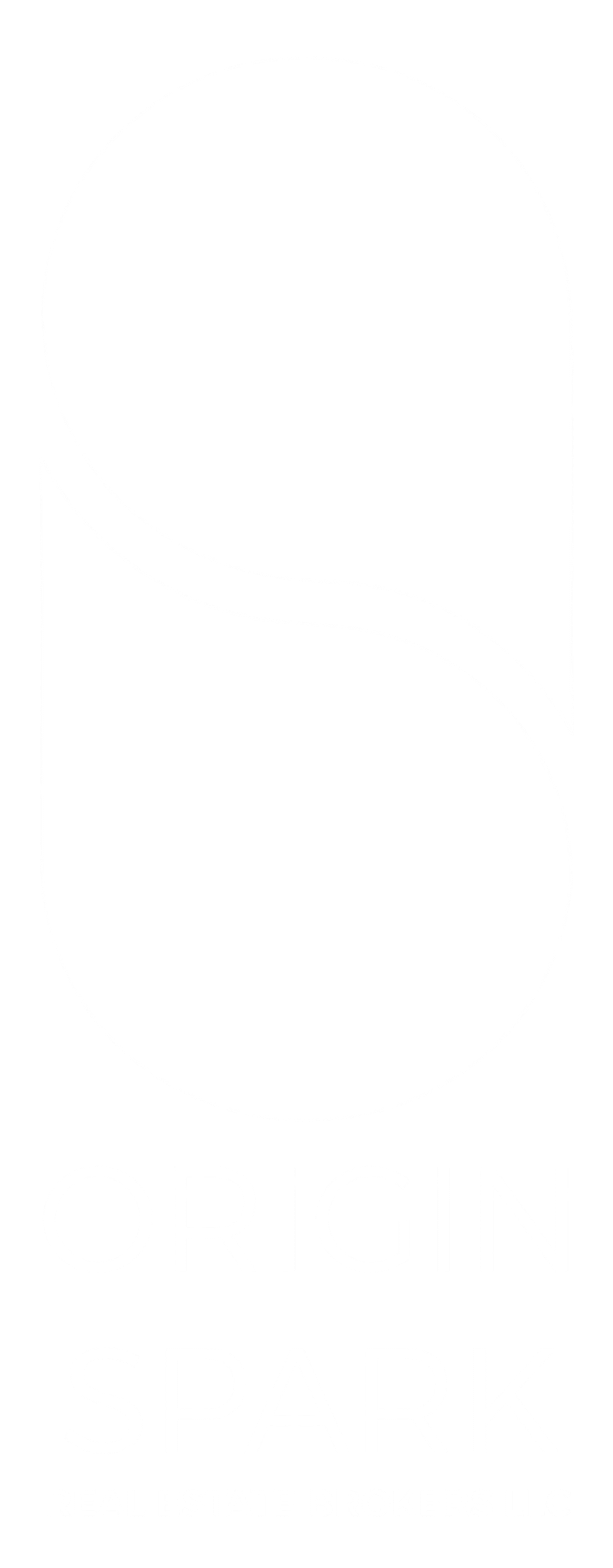 logo icon